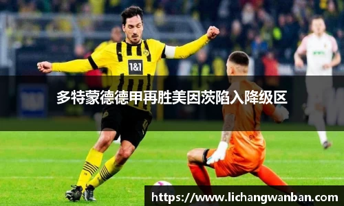 中欧体育官网