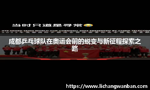 中欧体育