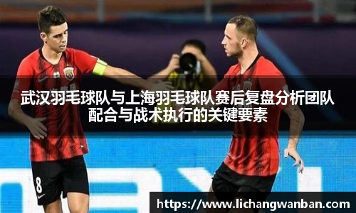 武汉羽毛球队与上海羽毛球队赛后复盘分析团队配合与战术执行的关键要素